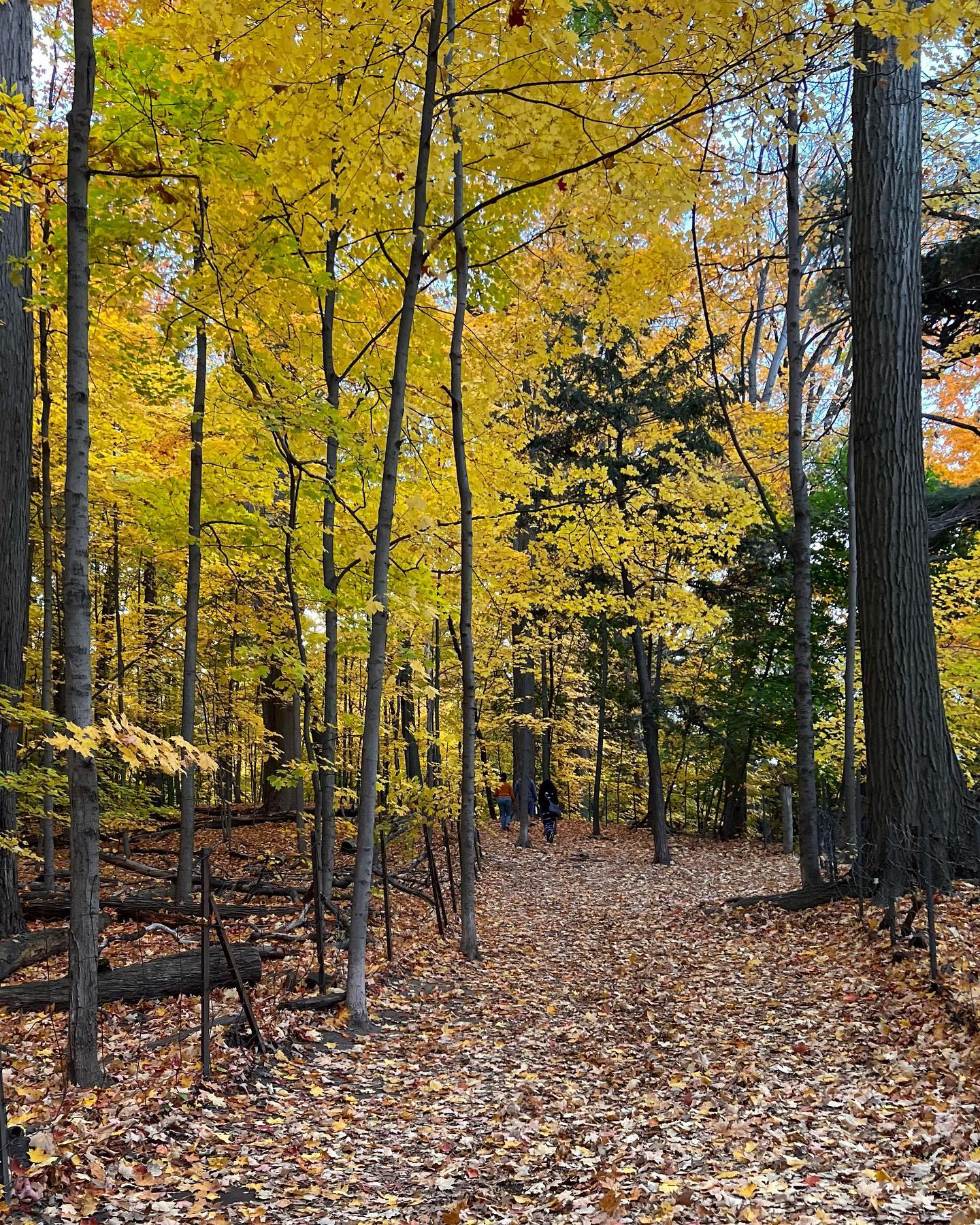 caiknocanada_1761240945011